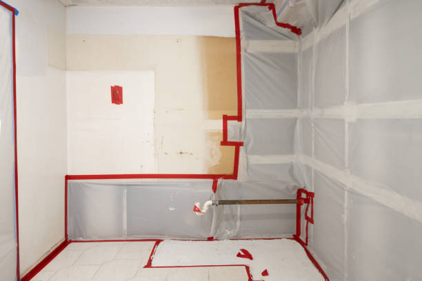 Best Residential Mold Inspection & Testing  in Groveport, OH